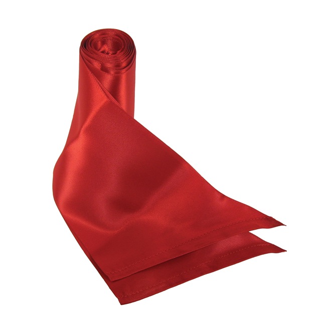 Sportsheets - Sex & Mischief Silky Sash Contraintes Rouge